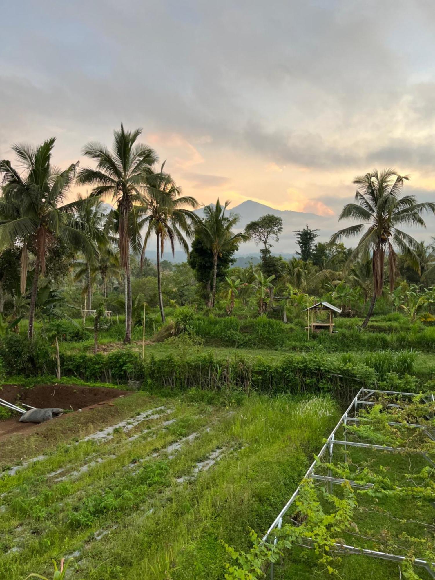 Rinjani Eco Villa Senaru Bayan Esterno foto