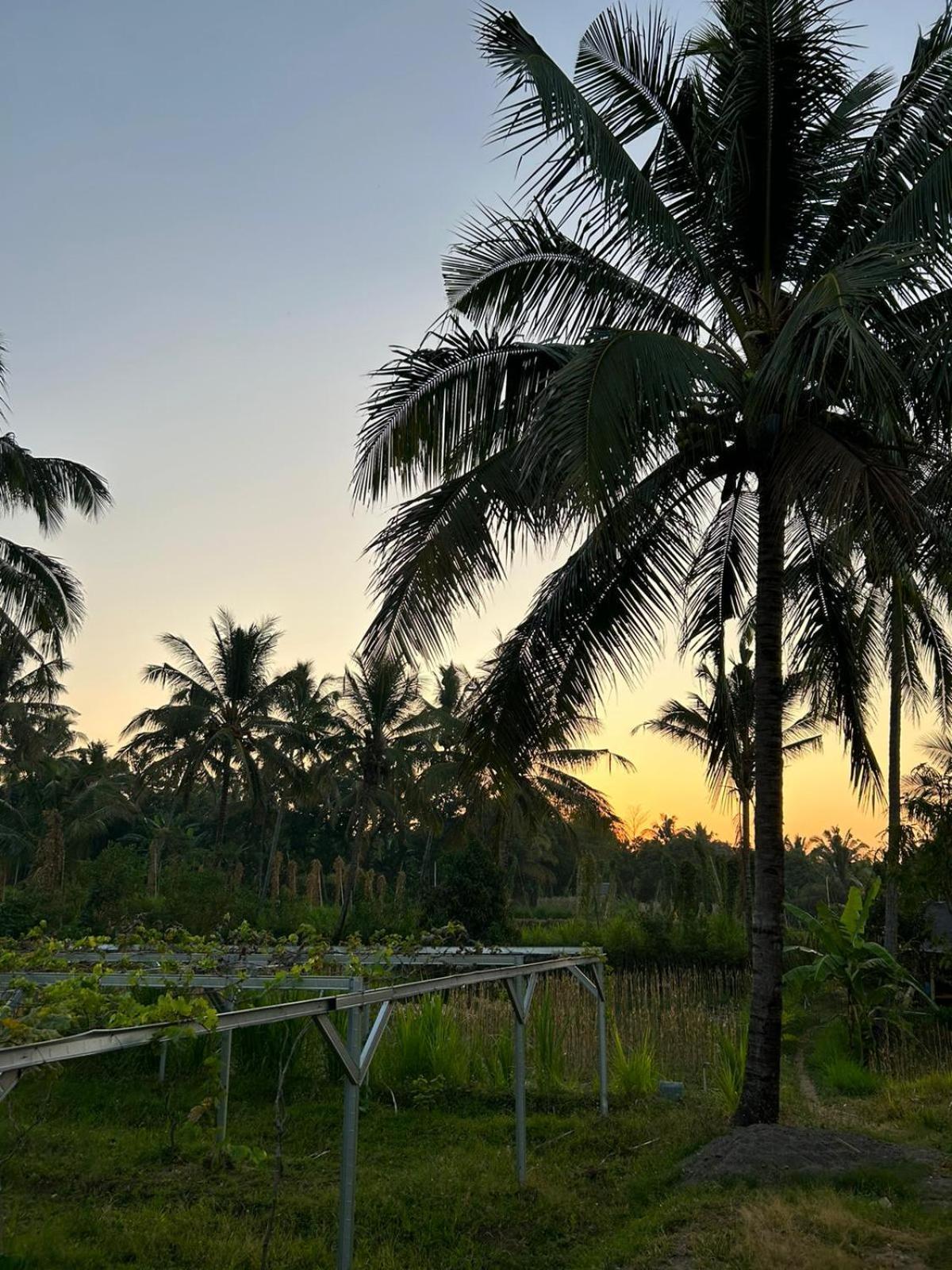 Rinjani Eco Villa Senaru Bayan Esterno foto