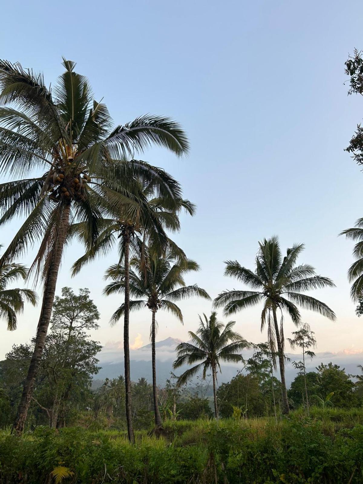 Rinjani Eco Villa Senaru Bayan Esterno foto