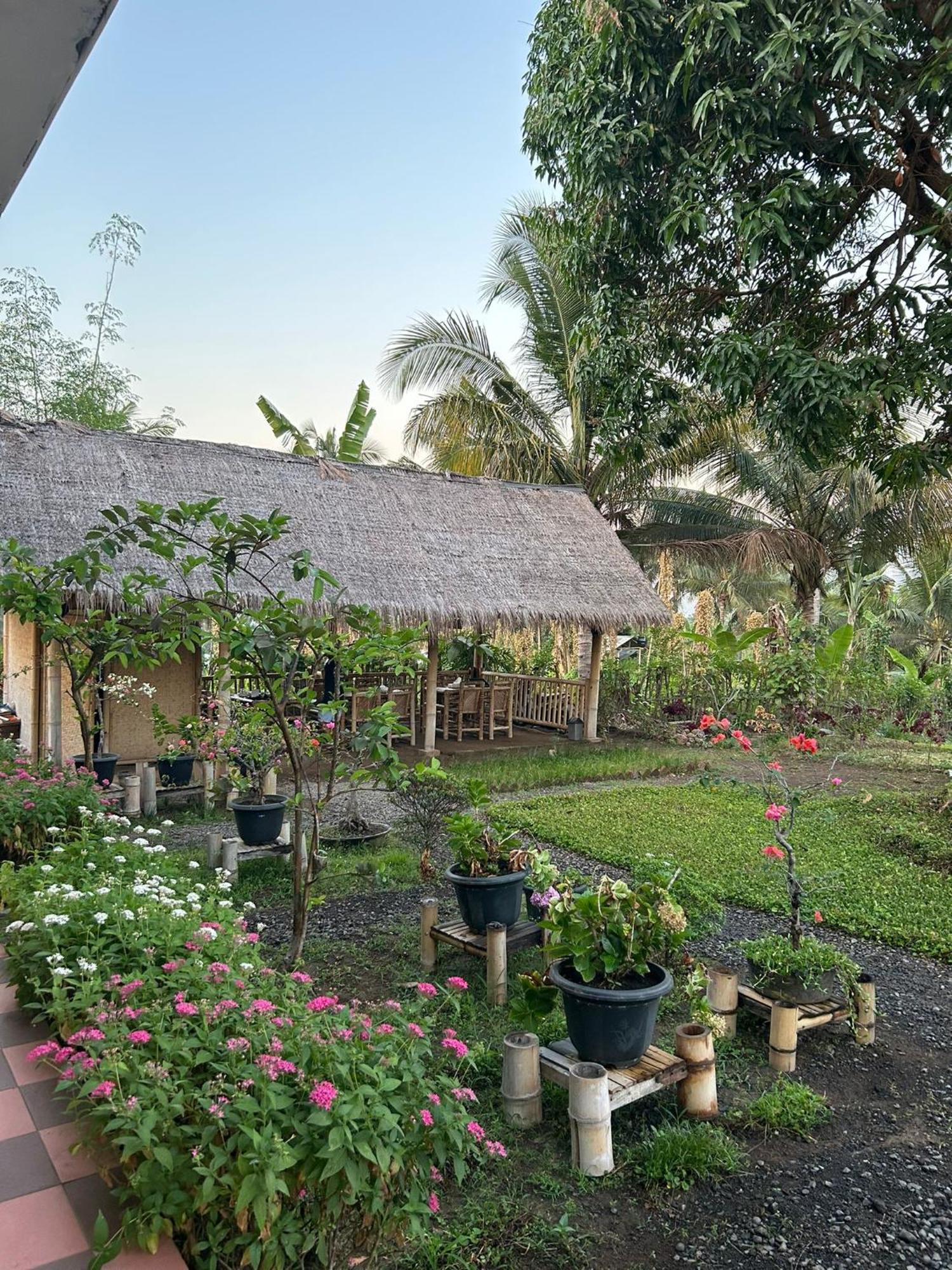 Rinjani Eco Villa Senaru Bayan Esterno foto