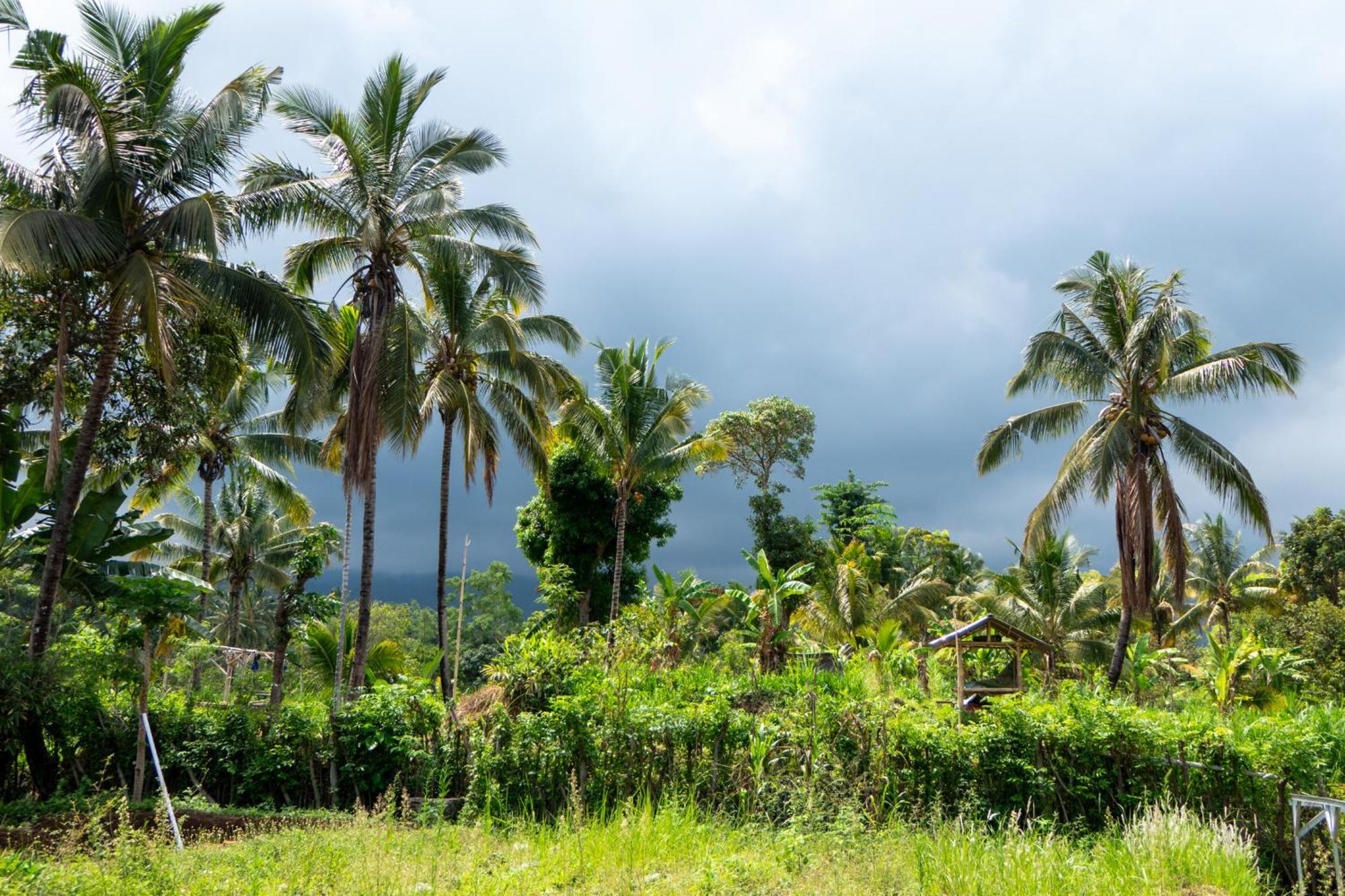 Rinjani Eco Villa Senaru Bayan Esterno foto